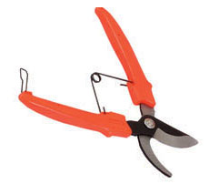Floret cut