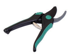 Floret cut