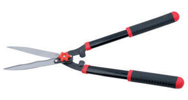 Hedge Shear
