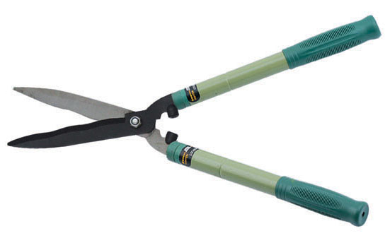 Hedge Shear